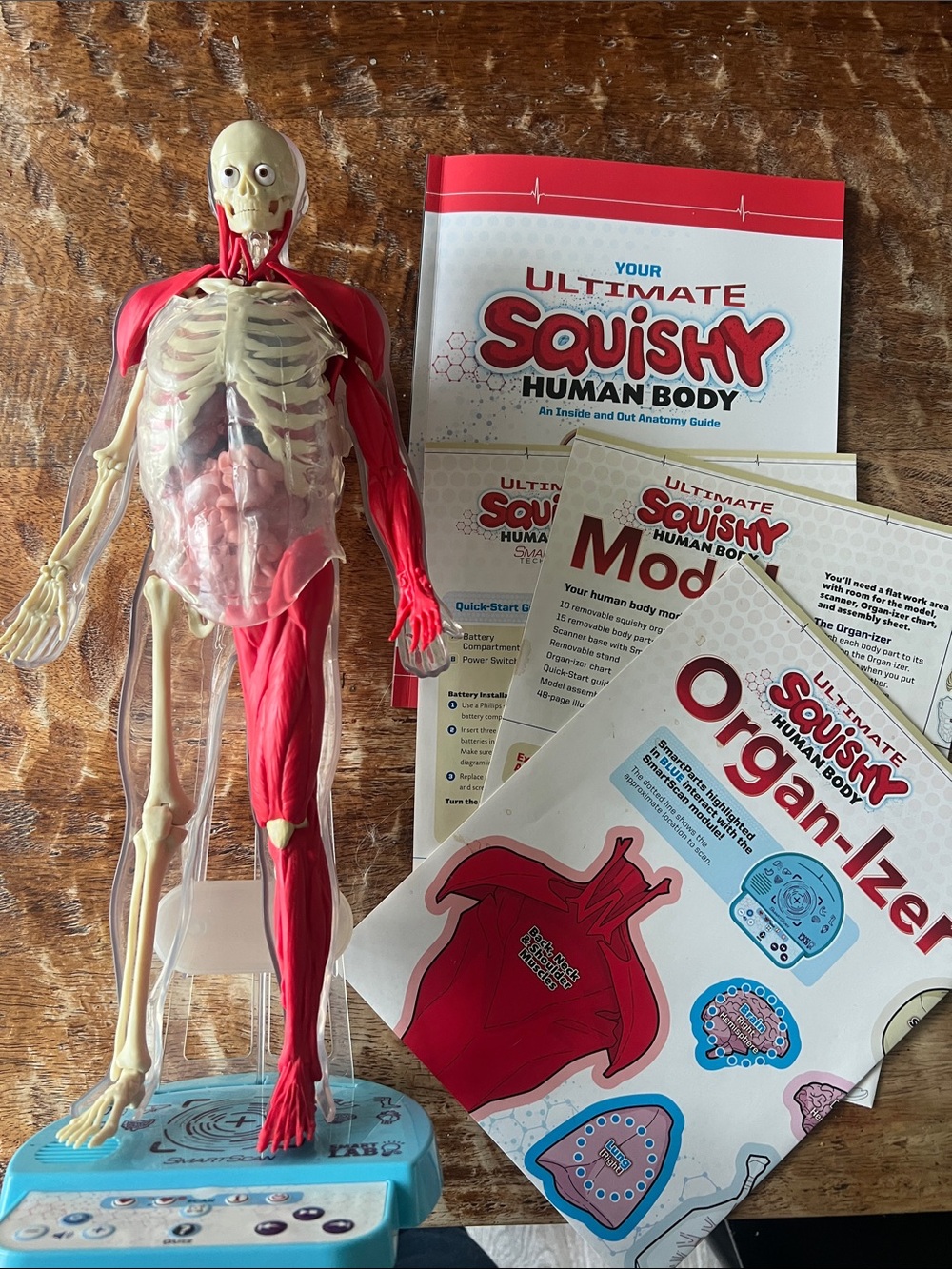 Ultimate Squishy Human Body Learning Kit - Red